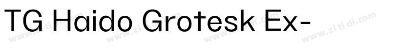 TG Haido Grotesk Ex字体转换